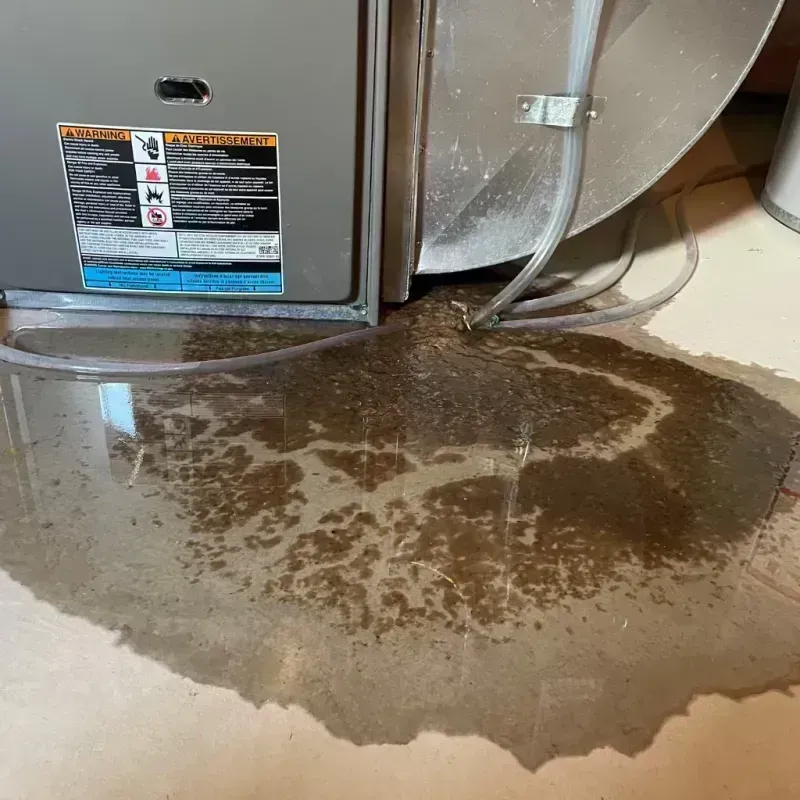 Appliance Leak Cleanup in Hidalgo County, NM